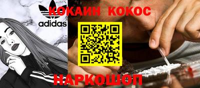 шишки Заволжье