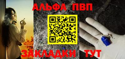 шишки Заволжье