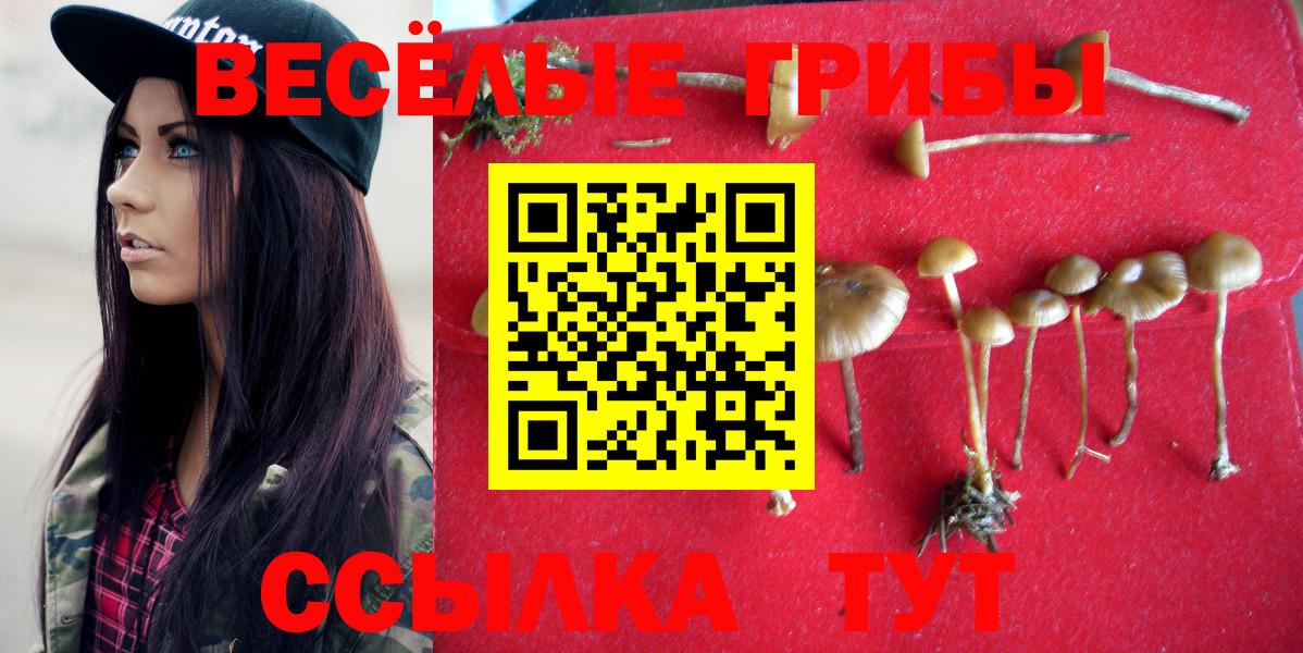 Майский  Псилоцибиновые грибы GOLDEN TEACHER  Вход с VPN  Псилоцибиновые грибы Magic Shrooms 